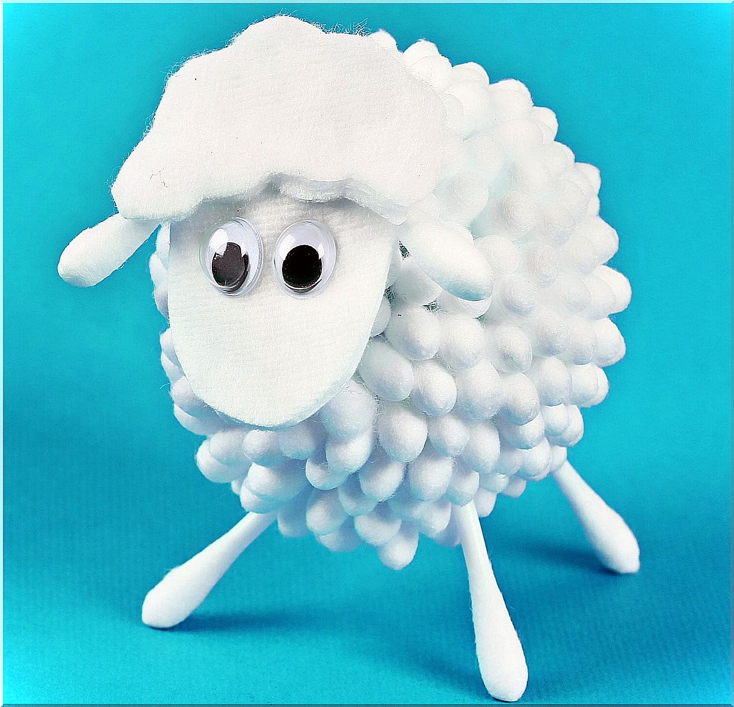 Sheep made of cotton, one of the fun projects to do with children.