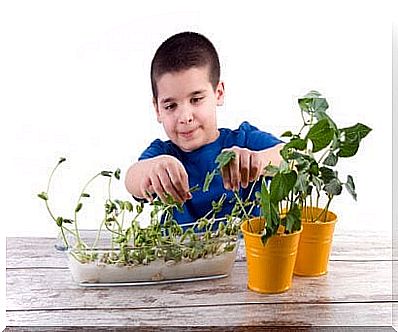 Biology for Kids: 3 Experiments to Do at Home