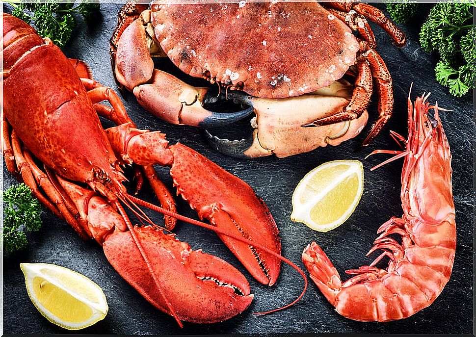 Seafood is one of the healthy foods at Christmas.