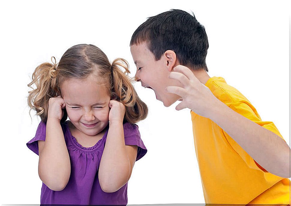 Boy with bad behavior yelling at his sister.