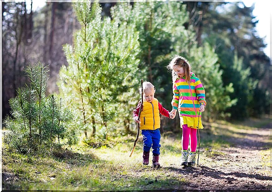 Many years ago, going on a nature excursion was the main game during children's childhood.