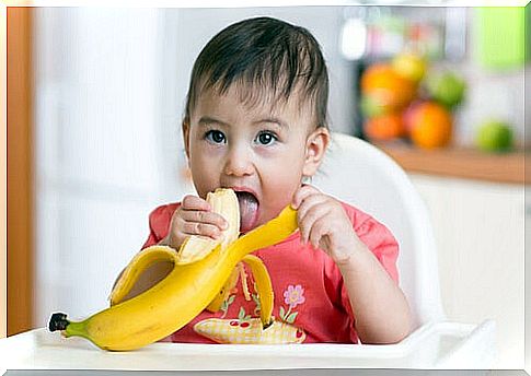 Baby-led weaning can become art in its application;  it all depends on the creativity and imagination of each parent.