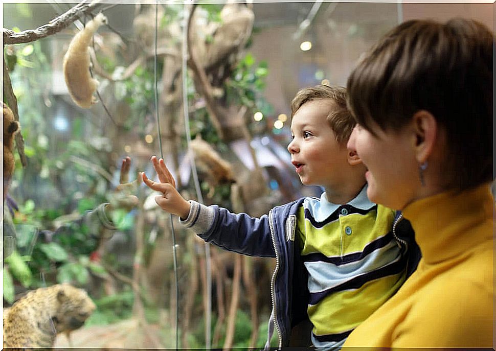 Boy with his mother visiting some museums in Spain.