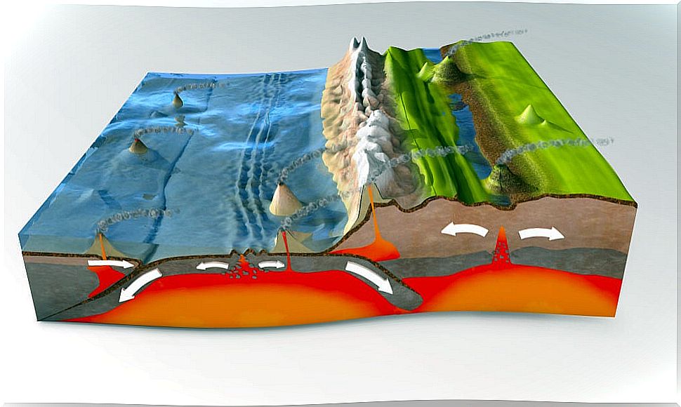 Explanation of how Plate Tectonics work.