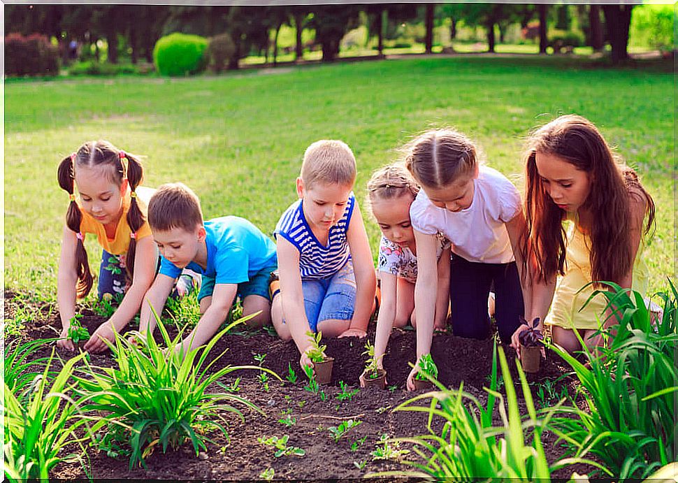 Ecology for children: experiments that teach to respect the planet