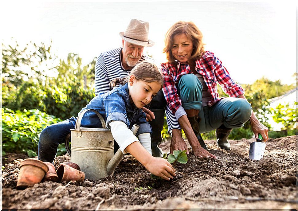 The role of grandparents