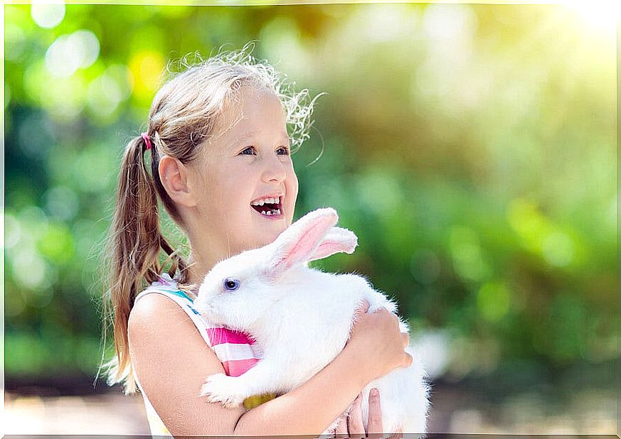 Friendship between pets and children